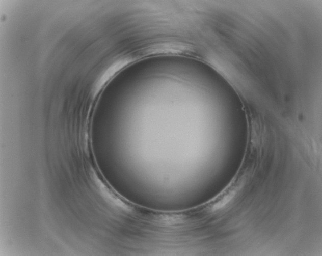 X0000065240802200602242023