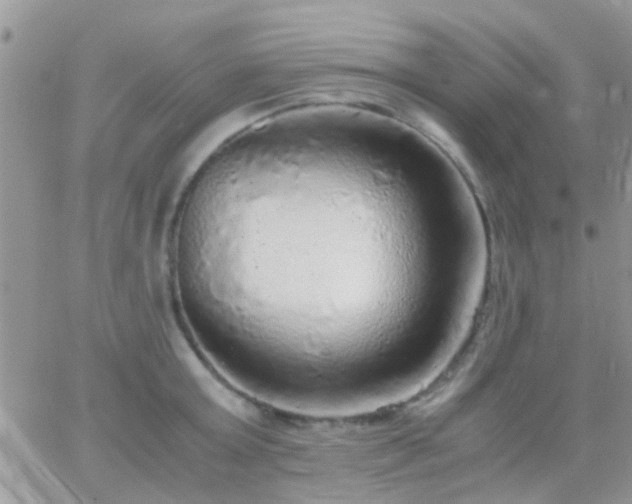 X0000065240803200602242023