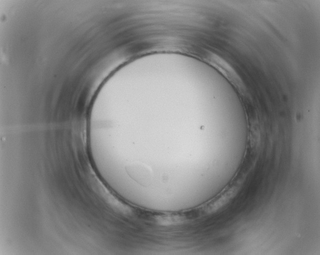 X0000065240804200602242023