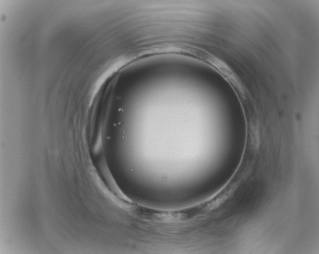 X0000065240805200602242023