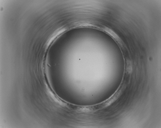 X0000065240806200602242023