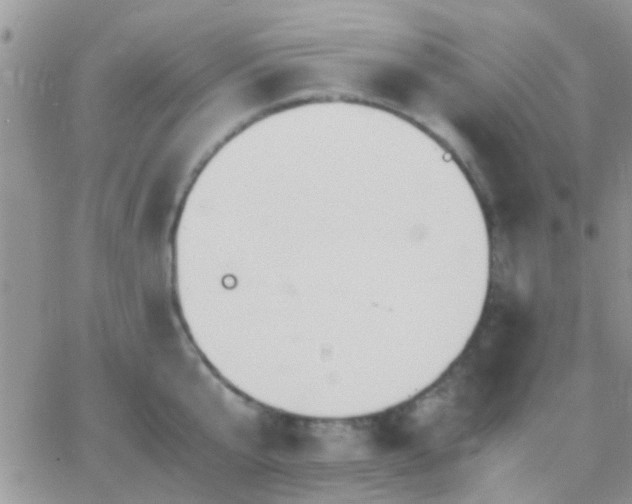 X0000065240807200602242023