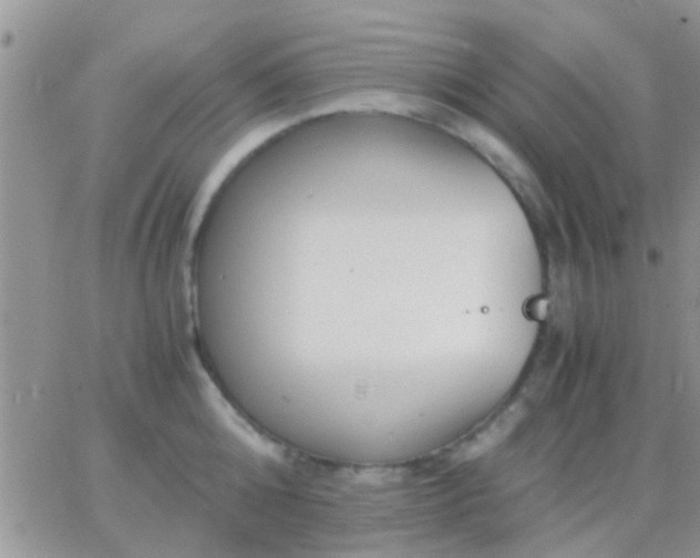 X0000065240808200602242023