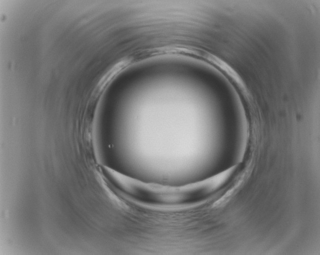 X0000065240809200602242023