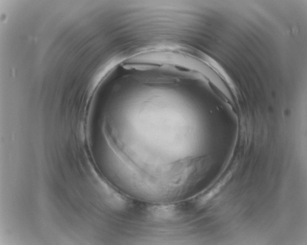 X0000065240810200602242023