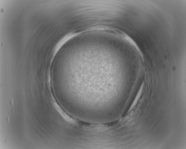 X0000065240811200602242023