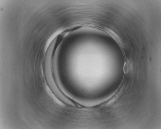 X0000065240812200602242023