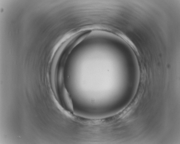 X0000065240813200602242023