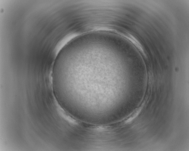 X0000065240814200602242023