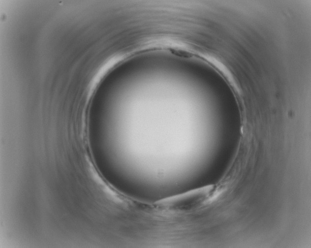 X0000065240815200602242023