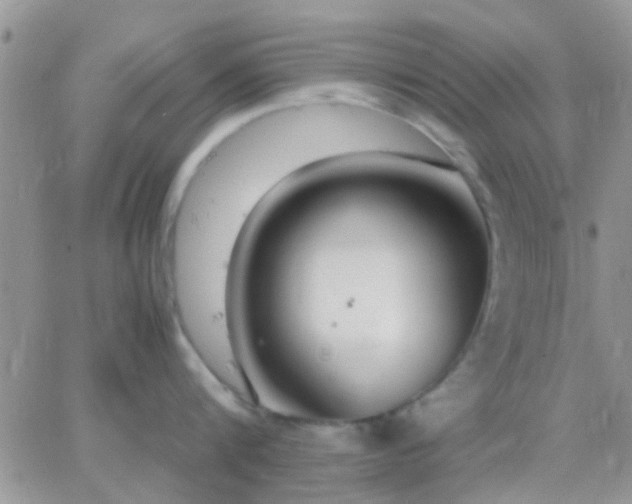 X0000065240816200602242023