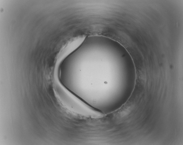 X0000065240818200602242022