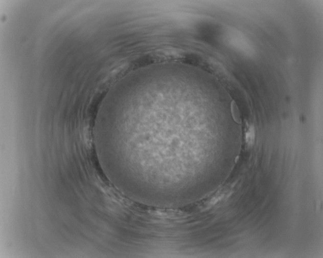 X0000065240819200602242022