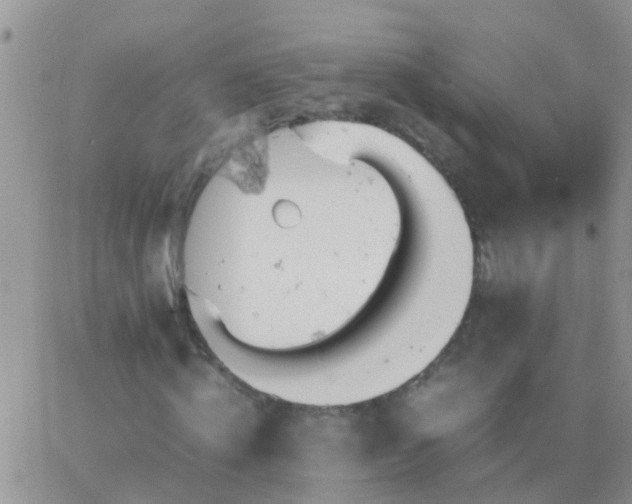 X0000065240820200602242022