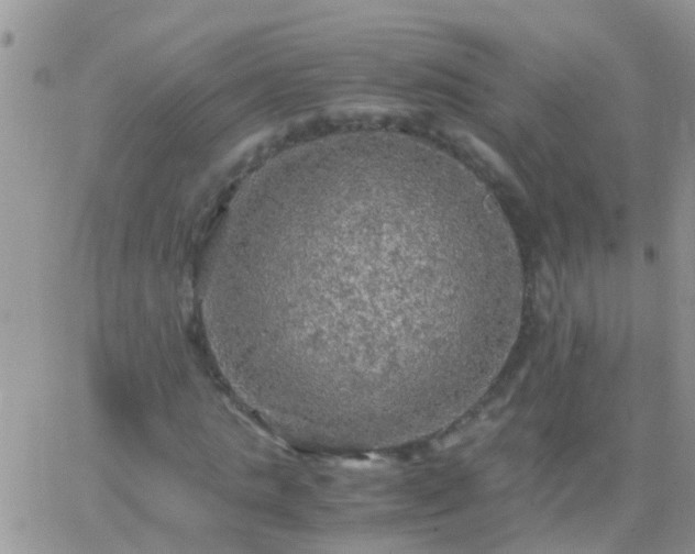 X0000065240821200602242022