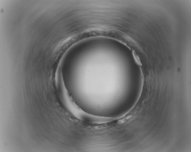 X0000065240822200602242022