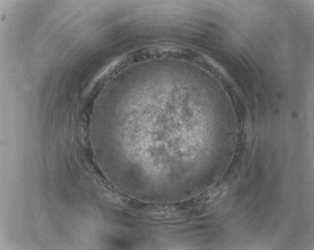 X0000065240823200602242022