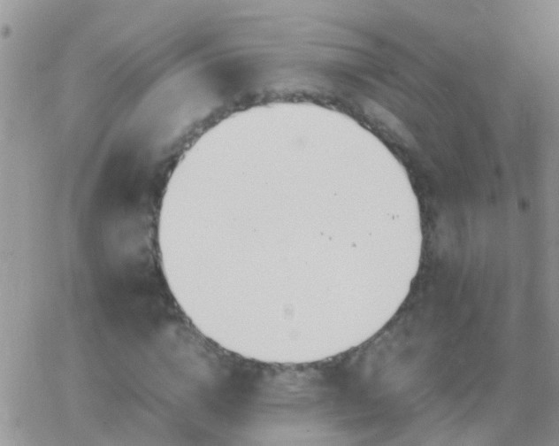 X0000065240824200602242022