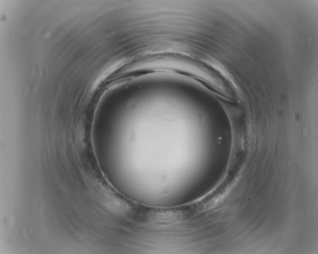 X0000065240826200602242022