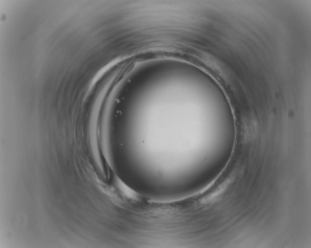 X0000065240830200602242022