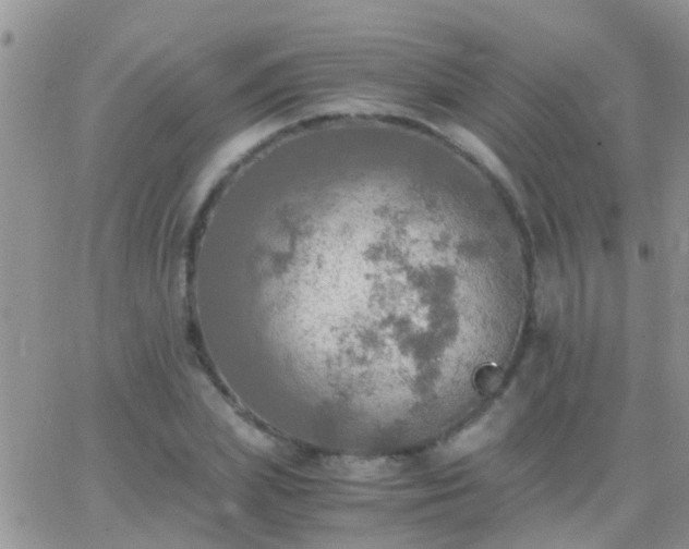 X0000065240831200602242022