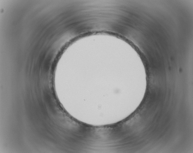 X0000065240832200602242022