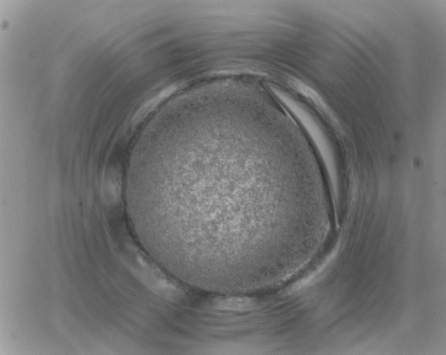 X0000065240833200602242022