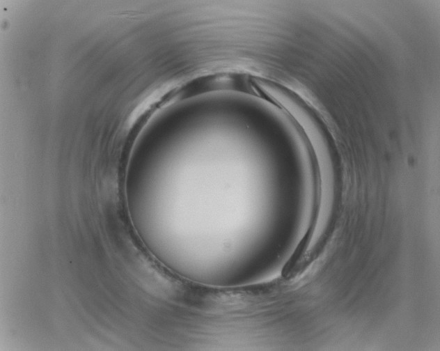 X0000065240834200602242022