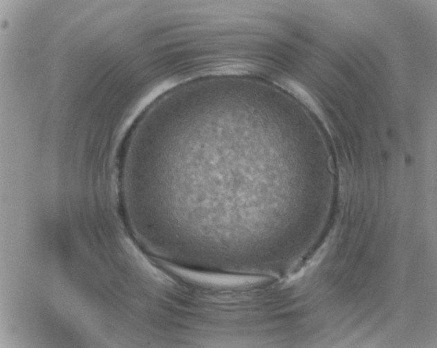 X0000065240835200602242022