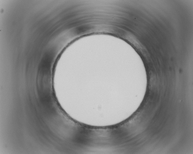 X0000065240836200602242022