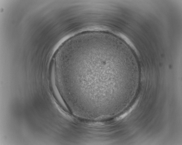 X0000065240837200602242022