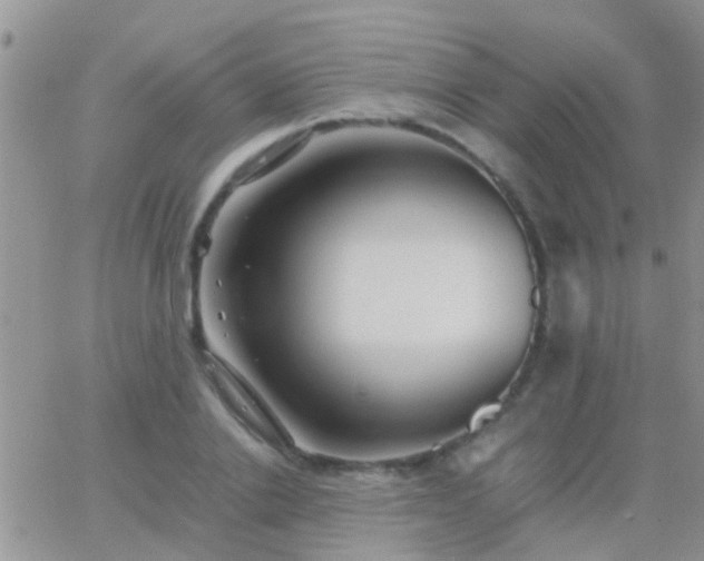 X0000065240838200602242022