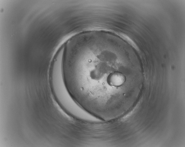 X0000065240839200602242022