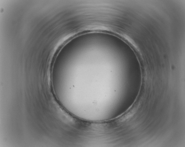 X0000065240840200602242022