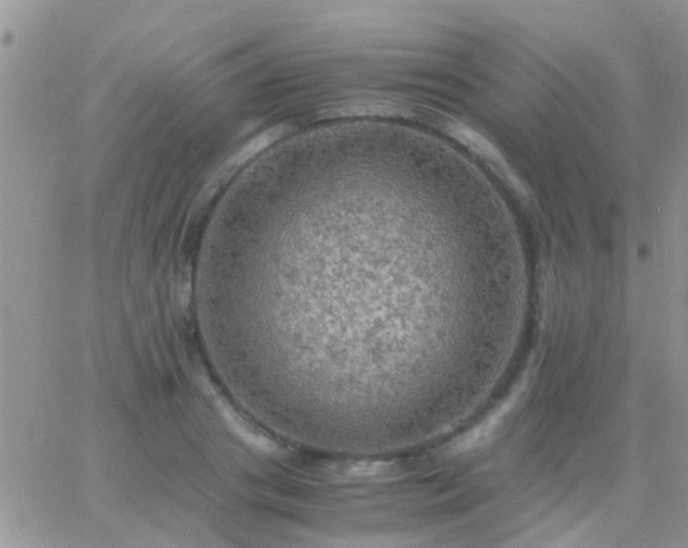 X0000065240841200602242022