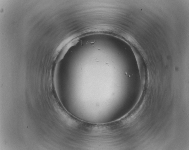 X0000065240842200602242022