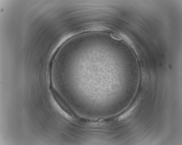 X0000065240843200602242022