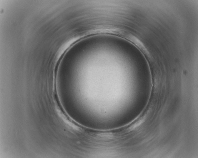 X0000065240844200602242023