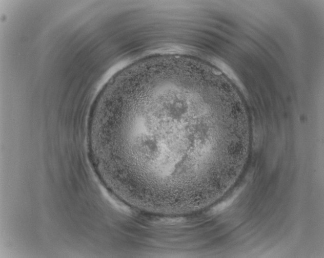 X0000065240845200602242023