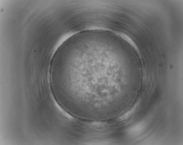 X0000065240847200602242023