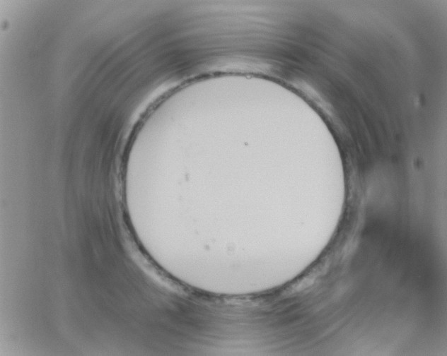 X0000065240848200602242023