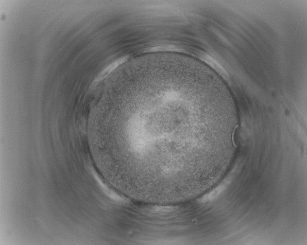 X0000065240849200602242023