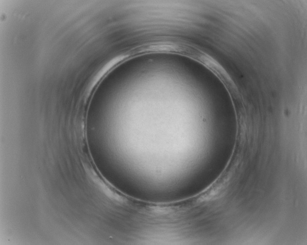 X0000065240852200602242023