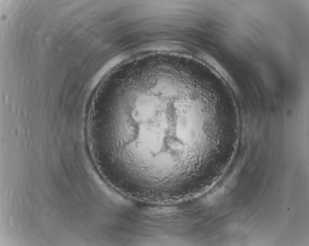 X0000065240853200602242023