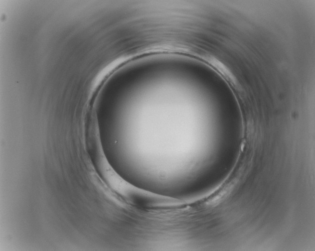 X0000065240854200602242023