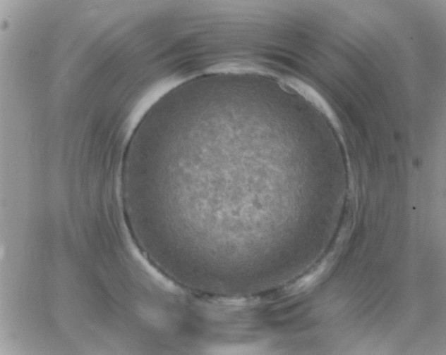 X0000065240855200602242023