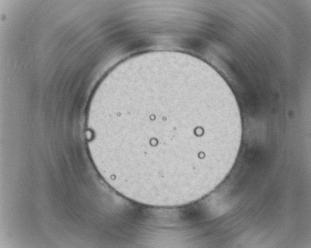 X0000065240856200602242023