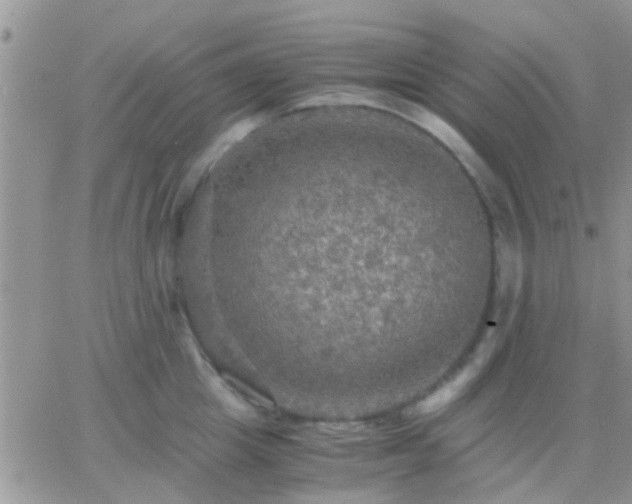 X0000065240857200602242023