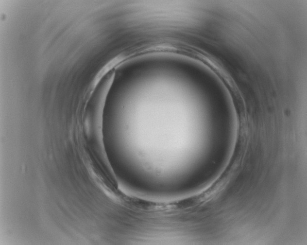 X0000065240858200602242023