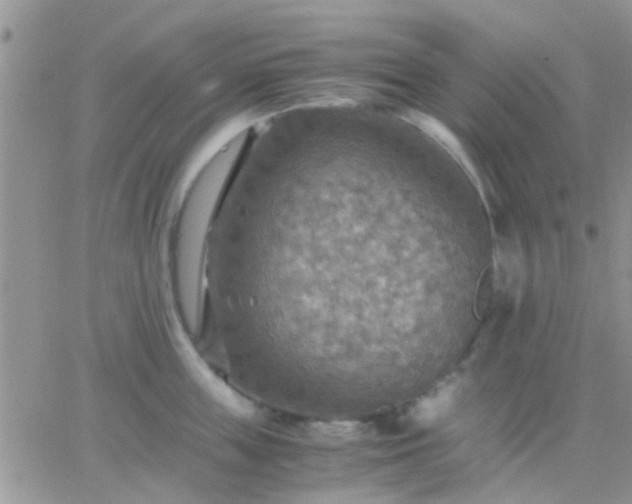 X0000065240859200602242023